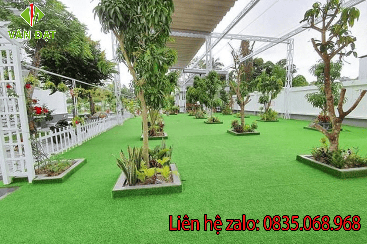 cỏ nhân tạo bến tre 3