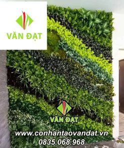 MẢNH TƯỜNG VD035