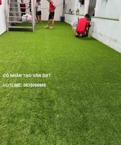 Cỏ nhân tạo trải phòng Gym