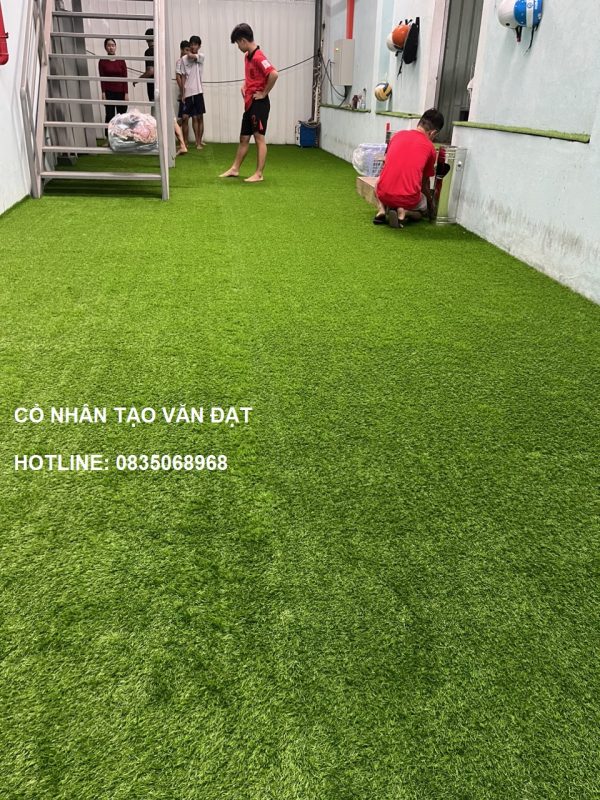 Cỏ nhân tạo trải phòng Gym