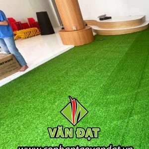 Cỏ nhân tạo trải sân vườn VDT011