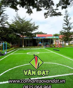 Cỏ nhân tạo sân bóng mini