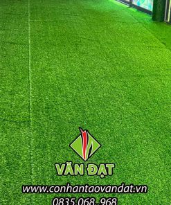 Cỏ nhân tạo trải sân vườn