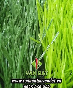 Cỏ sân bóng đá VD.11S-5