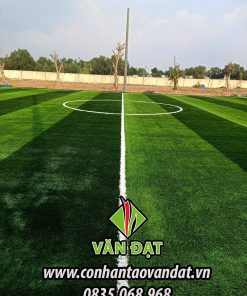 THI CÔNG CỎ NHÂN TẠO SÂN BÓNG