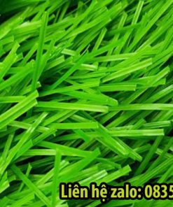 Cỏ sân bóng đá VD.11S-3