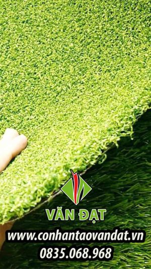 Cỏ nhân tạo sân golf VD.G02