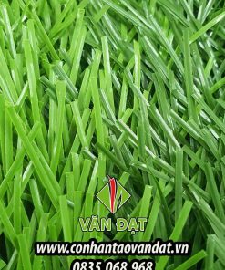 Cỏ sân bóng đá VD.11S-4