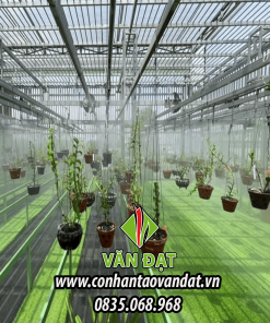 Cỏ nhân tạo trải vườn lan giá rẻ