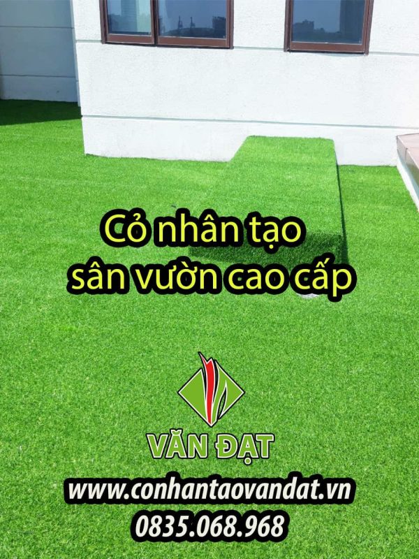 Cỏ nhân tạo sân vườn giá rẻ