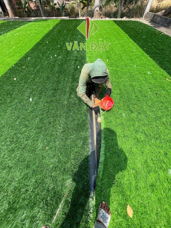 dán keo cỏ nhân tạo