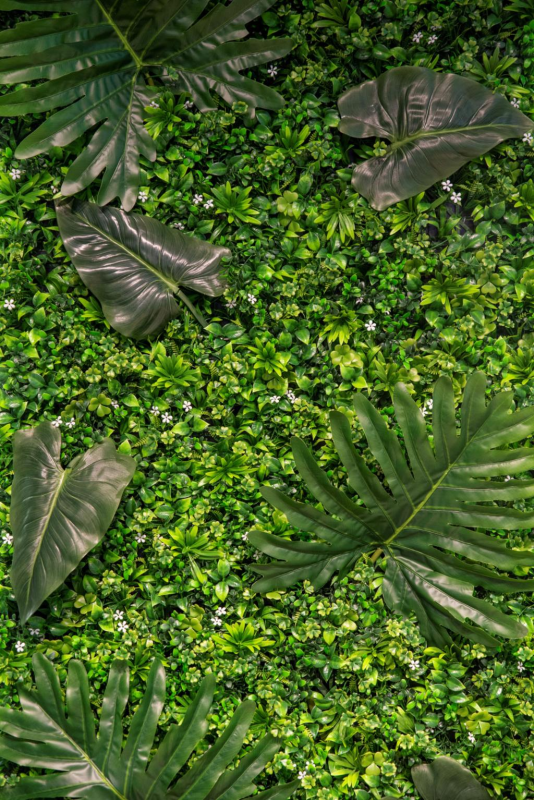  xanh phủ k&iacute;n (Green Wall)